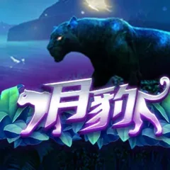月豹