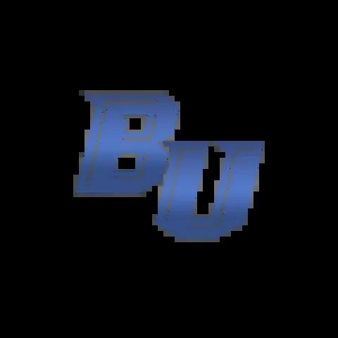 BU娛樂城