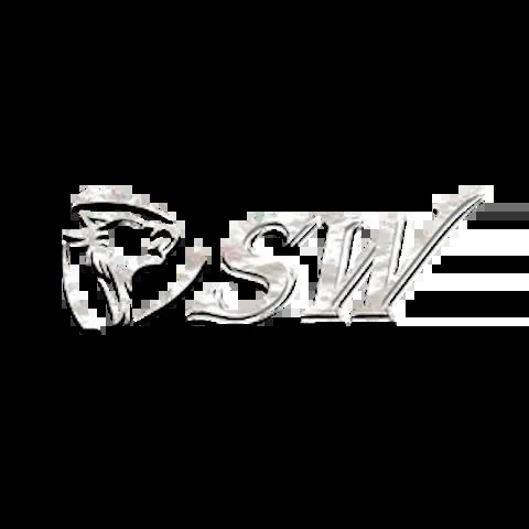SW娛樂城